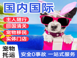 张家界机场邮寄国际宠物托运 【国